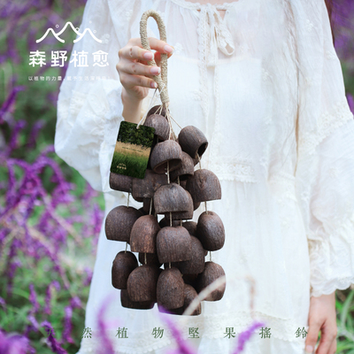 森野植愈天然植物果壳伴奏音束
