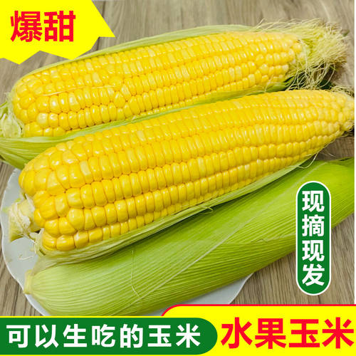 广西新鲜现摘黄金水果玉米脆甜爆浆嫩甜玉米棒子带皮包谷蔬菜