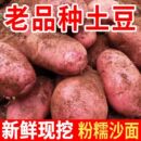 新鲜云南红皮土豆黄心大农家红洋芋蔬菜现挖现发新鲜蔬菜高山自种