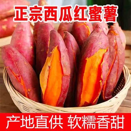 西瓜红心蜜薯糖心烤红薯现挖新鲜番薯蔬菜自种地瓜软糯香甜整箱田