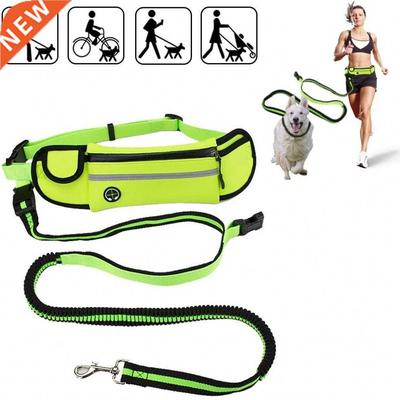 2021 New Running Dog Leash Set Hands Free Medium Large Dog