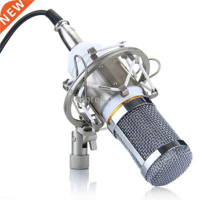 Condenser Microphone Mic Sound Studio Recording Dynmic Whit
