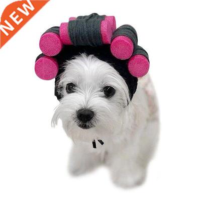 Curly Hair Perm Haircut Cross Dress Headgear Dog Hat Pet