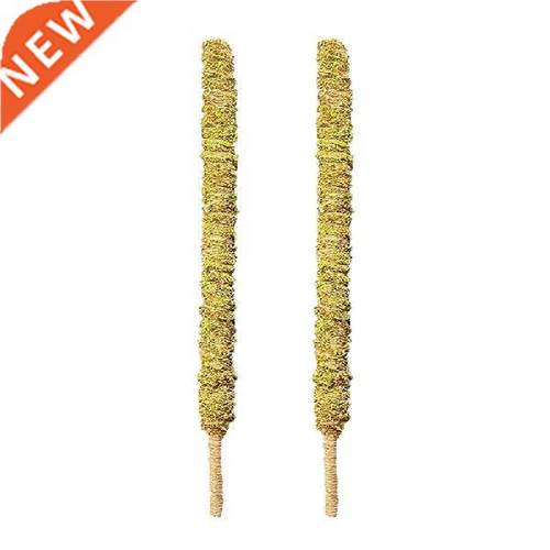 2 Pack 25 Inch Real Moss Pole For Monstera Bendable Plant