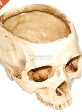 Resin Skull Model Flower Pot Shining Fruit Plate Storage Con