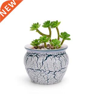 Succulent Planter Grain Vase Container Office Ornaments