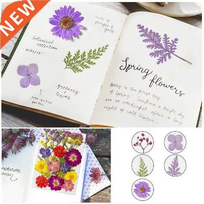 Dried Flower Material Package Real Pressed Dry Flowers