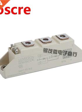 Model complete SKKT107B16E SKKT122/08E model complete