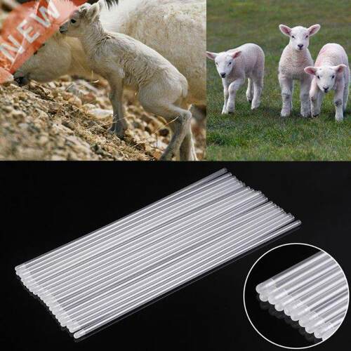 20Pcs Pet Canine Dog Goat Sheep Artificial Insemination Bree