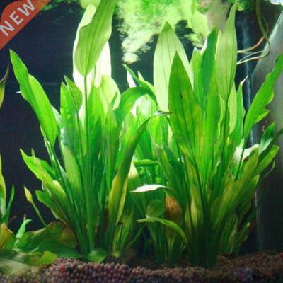 15CM/10CM Underwater Artificial Aquatic Plant Ornaments For