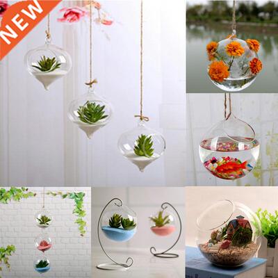 Creative Hanging Flower Pot Glass Vase Terrarium Wall Fish