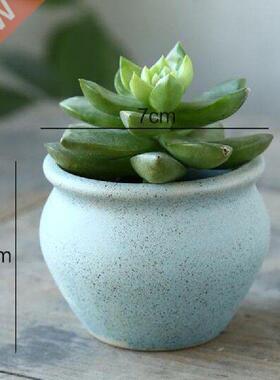 Fleshy Green Plant Vase Container Balcony Garden Decoration
