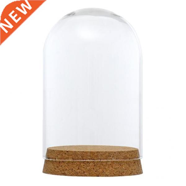 2x Dust-proof Glass Cloche Plant Flower Holder Succulent