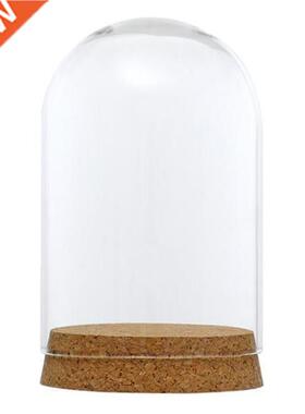 2x Dust-proof Glass Cloche Plant Flower Holder Succulent