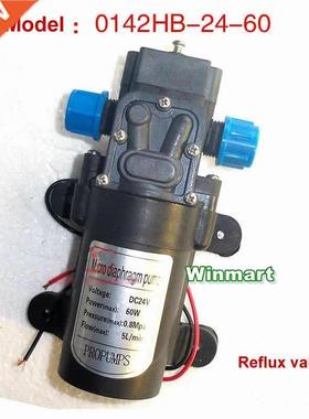 60W DC12V/24V Ppe connecton Mcro Daphragm Water Pump Se