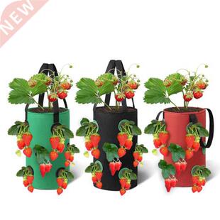 3 Gal 12 holes Strawberry grow pot bags Plants Flower Tomato