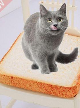 Microblogging with the paragraph cute real life toast bread