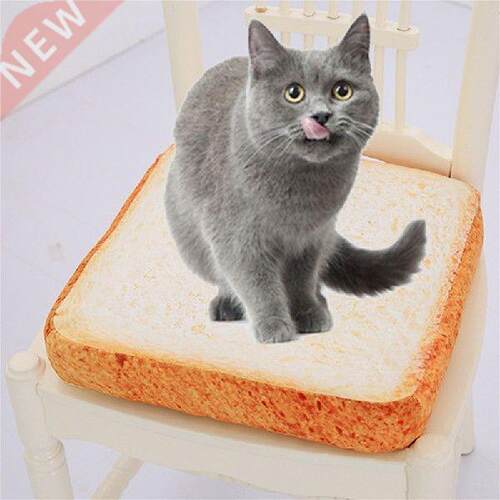 Microblogging with the paragraph cute real life toast bread