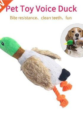 Newest Cute Plush Duck Sound Toy Stuffed Squeaky Animal