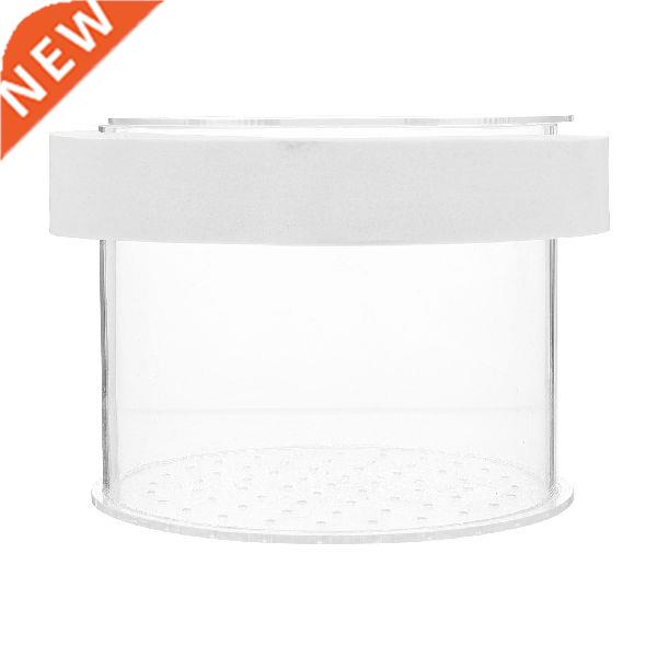 Box Fish Aquarium Tank Breeding Isolation Hatching
