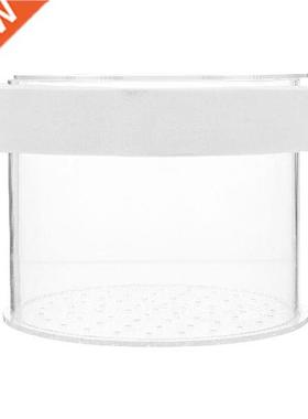 Box Fish Aquarium Tank Breeding Isolation Hatching