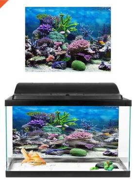 3D Effect Fresh Se Bckground qurium Ocen Lndscpe Post