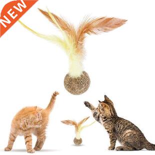 Natural Catnip Ball Interactive Cat Toys 4Pcs Feather