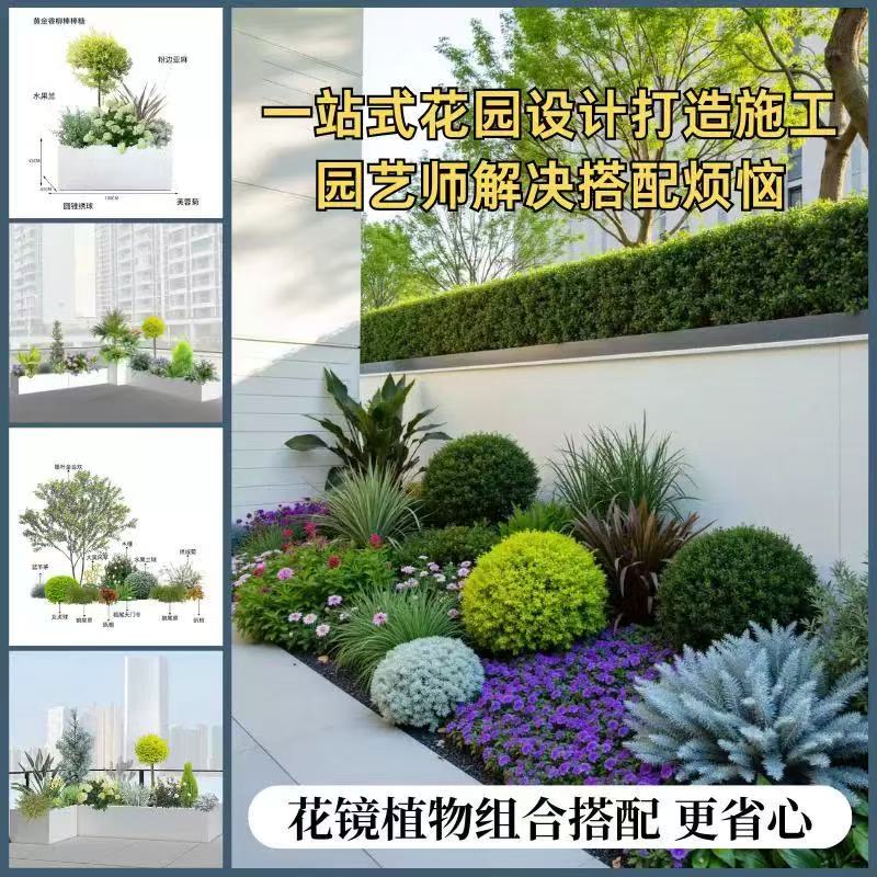 花镜植物组合套餐盆栽植物简约庭院造型设计四季常绿耐寒耐热好养
