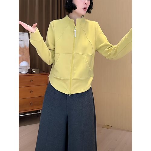 设计感纯色双面绒立领加厚卫衣开衫外套女秋冬新款显瘦打底衫上衣