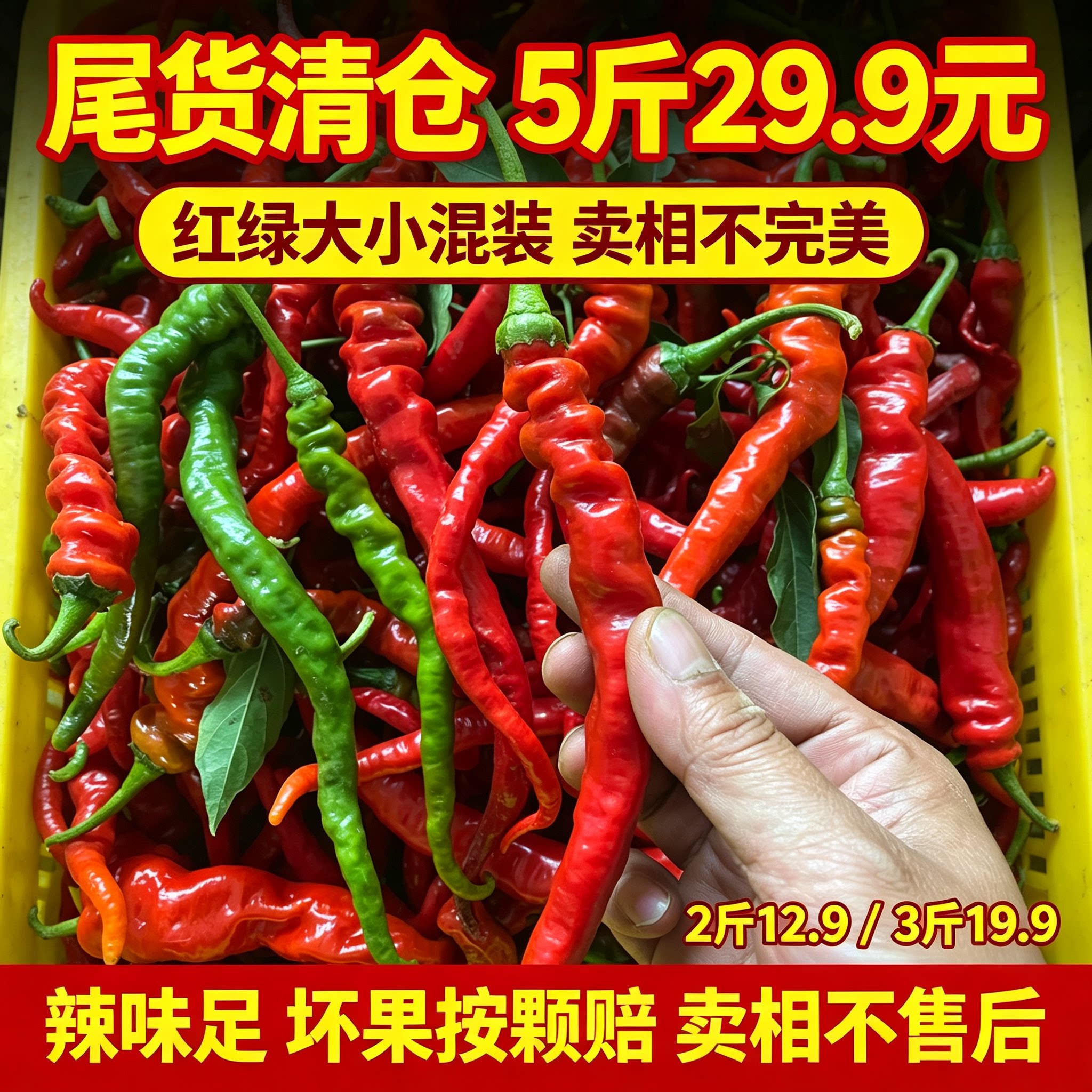 甘肃天水甘谷辣椒线椒七寸红农家自种现摘新鲜辣椒做酱尾货清仓