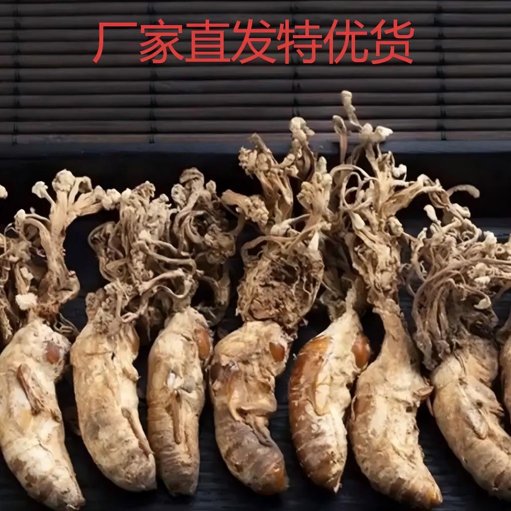 新采大别山野生金蝉花500g蝉花虫草孢子粉知了花金蚕花中药材泡酒