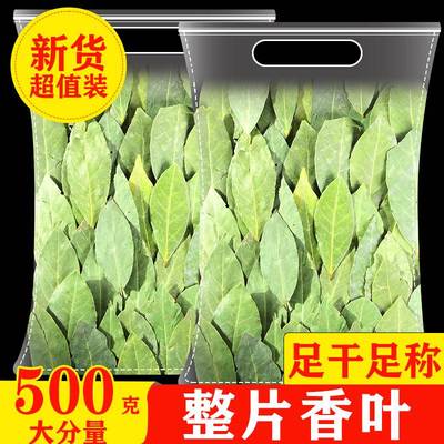香叶500g月桂叶家用商用包装
