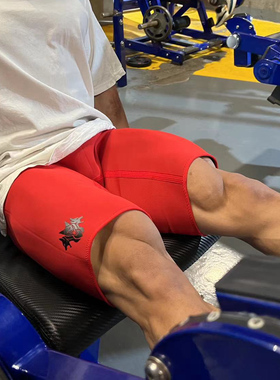 Cerberus氯丁橡胶运动训练健身健美力量举竞赛加压深蹲短裤紧身裤