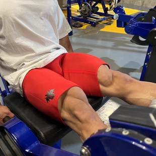 Cerberus氯丁橡胶运动训练健身健美力量举竞赛加压深蹲短裤紧身裤