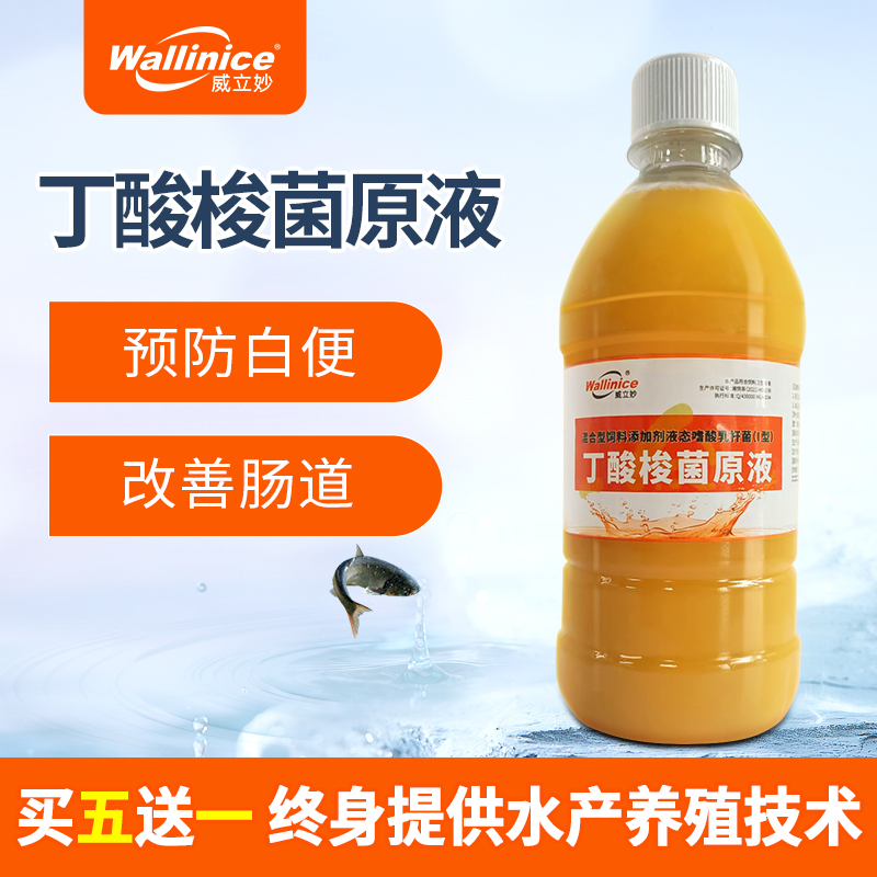 威立妙丁酸梭菌水产养殖专用改善肠道预防肠炎白便空肠胃鱼对虾蟹
