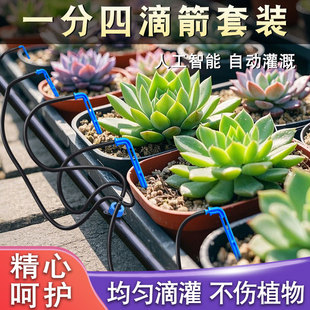滴灌稳流器滴箭一出四二套装3/5管设备园艺花盆盆栽弯箭浇花浇水