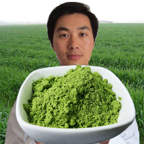 大学生创业500g青汁大麦若叶粉大麦苗代餐粉多规格蔬菜草汁粉