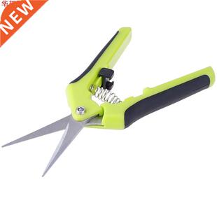 Petit acier inoxydable jardin sécateur ciseaux de cue