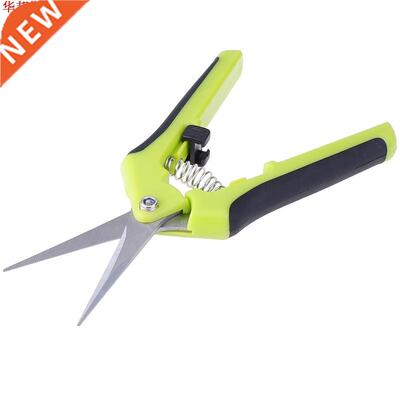 Petit acier inoxydable jardin sécateur ciseaux de cue