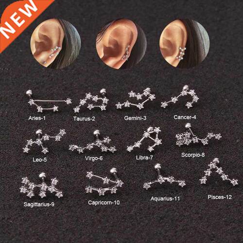 New Stainless Steel Twelve Constellation Ear Piercing Jewelr