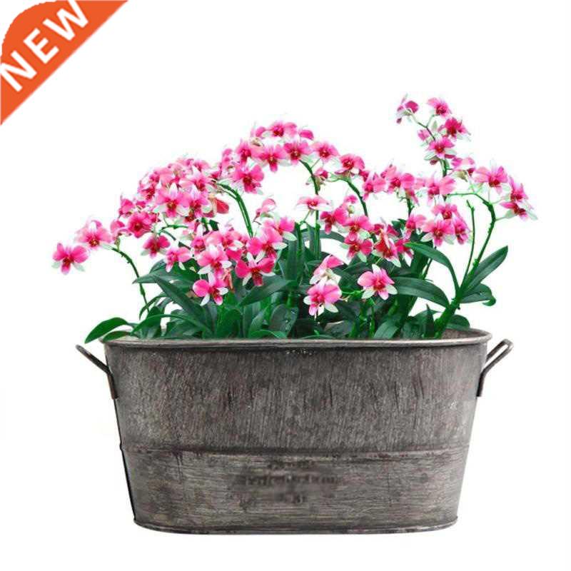 Zinc Metal Flowerpot Garden Planter Trough Flower Plant Pot