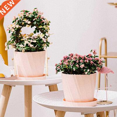 Solid Color Plastic Succulent Plant Flowerpot with Tray