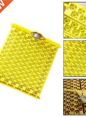 154 Pcs Quail Parrot Pigeon Small Bird Snake Hatcher