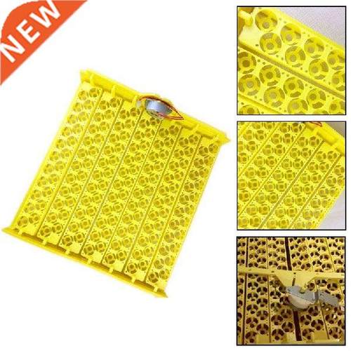 154 Pcs Quail Parrot Pigeon Small Bird Snake Hatcher