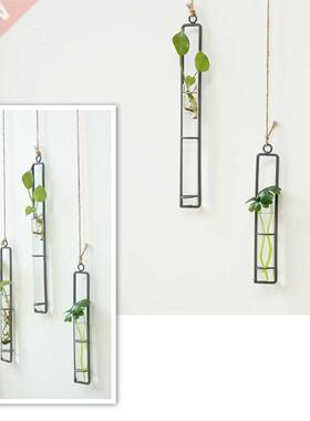 Iron Art Flower Vase  Hydroponic Plants Floral Glass Test