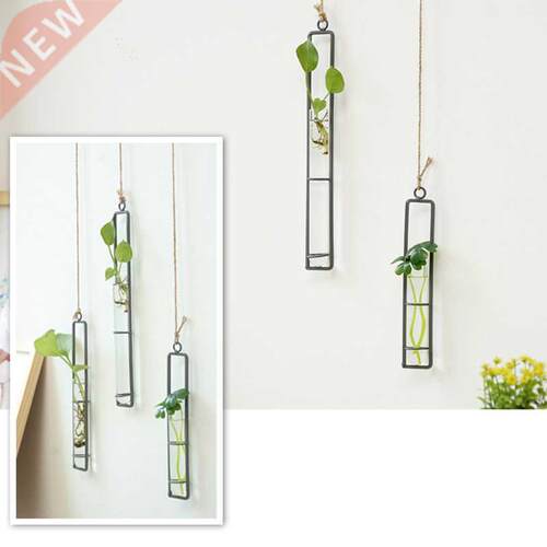 Iron Art Flower Vase  Hydroponic Plants Floral Glass Test