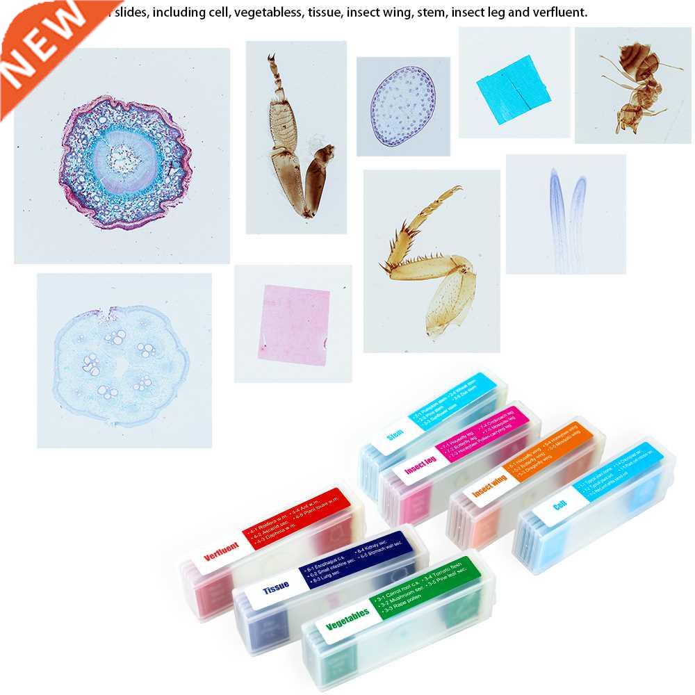 35pcs Prepared Microscope Slides Microscope Specimen Slide B