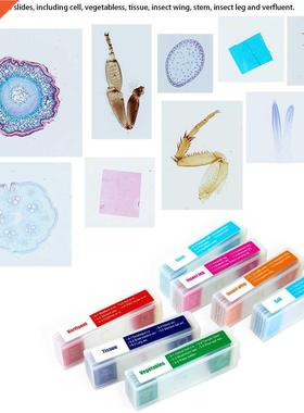 35pcs Prepared Microscope Slides Microscope Specimen Slide B