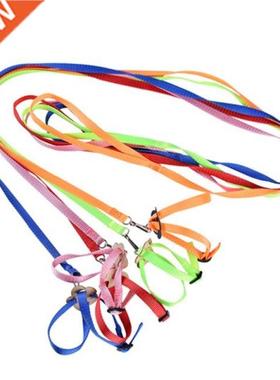 Polia de tra??o para papagaio, pássaro, tartaruga, lagarto,