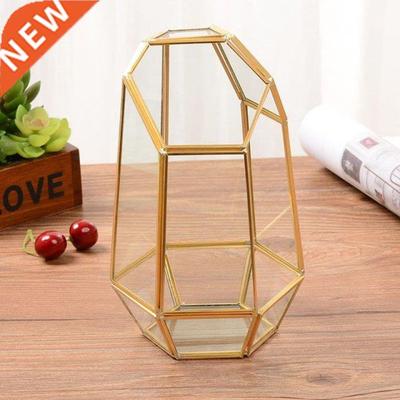 Indoor Tabletop Irregular Glass Geometric Air Plants Terrari